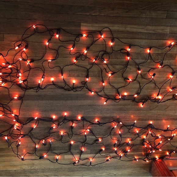 Other - Orange Holiday Halloween net Lights